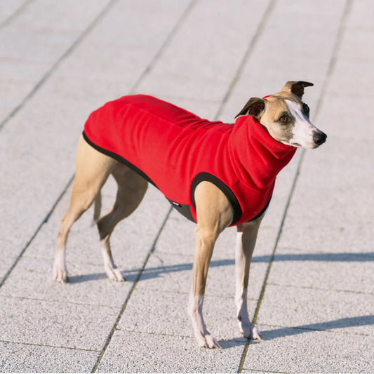 Bezrękawnik dla charta angielskiego z grubego polaru, z wodoodpornymi wstawkami na brzuchu i otworem na smycz w kołnierzu; zapewnia izolację termiczną, ochronę przed wilgocią i swobodę ruchów podczas spacerów.