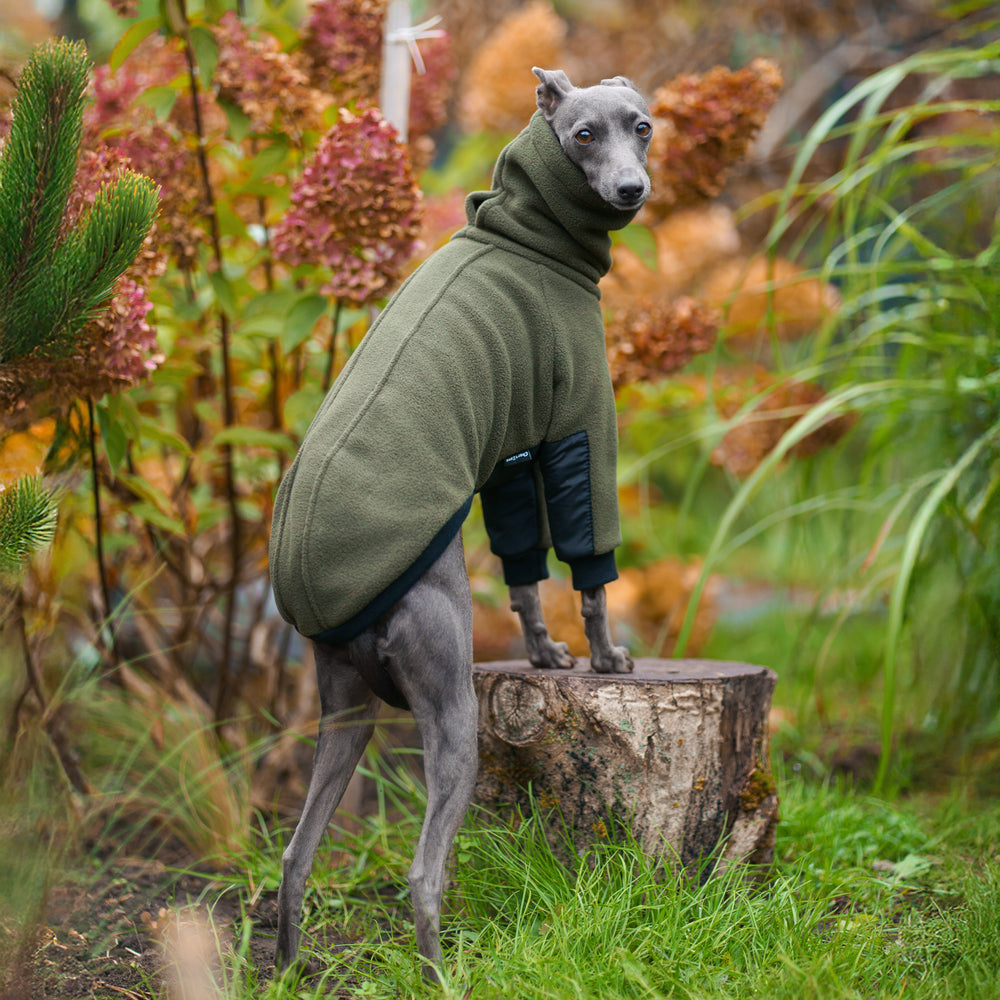 Ciepła bluza dla charcika włoskiego z grubego polaru, z wodoodpornymi wstawkami na brzuszku i rękawach, antypilingowa i hydrofobowa, z kołnierzem wyposażonym w otwór na smycz.