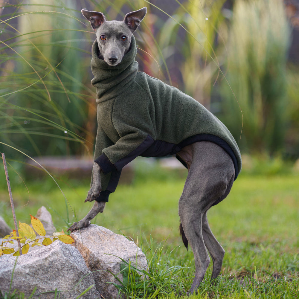 Ciepła bluza dla charcika włoskiego z grubego polaru, z wodoodpornymi wstawkami na brzuszku i rękawach, antypilingowa i hydrofobowa, z kołnierzem wyposażonym w otwór na smycz.