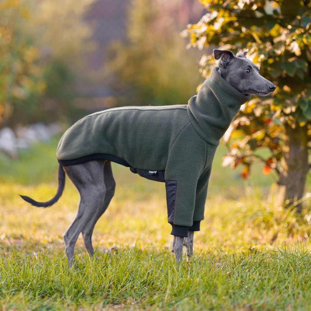 Ciepła bluza dla charcika włoskiego z grubego polaru, z wodoodpornymi wstawkami na brzuszku i rękawach, antypilingowa i hydrofobowa, z kołnierzem wyposażonym w otwór na smycz.