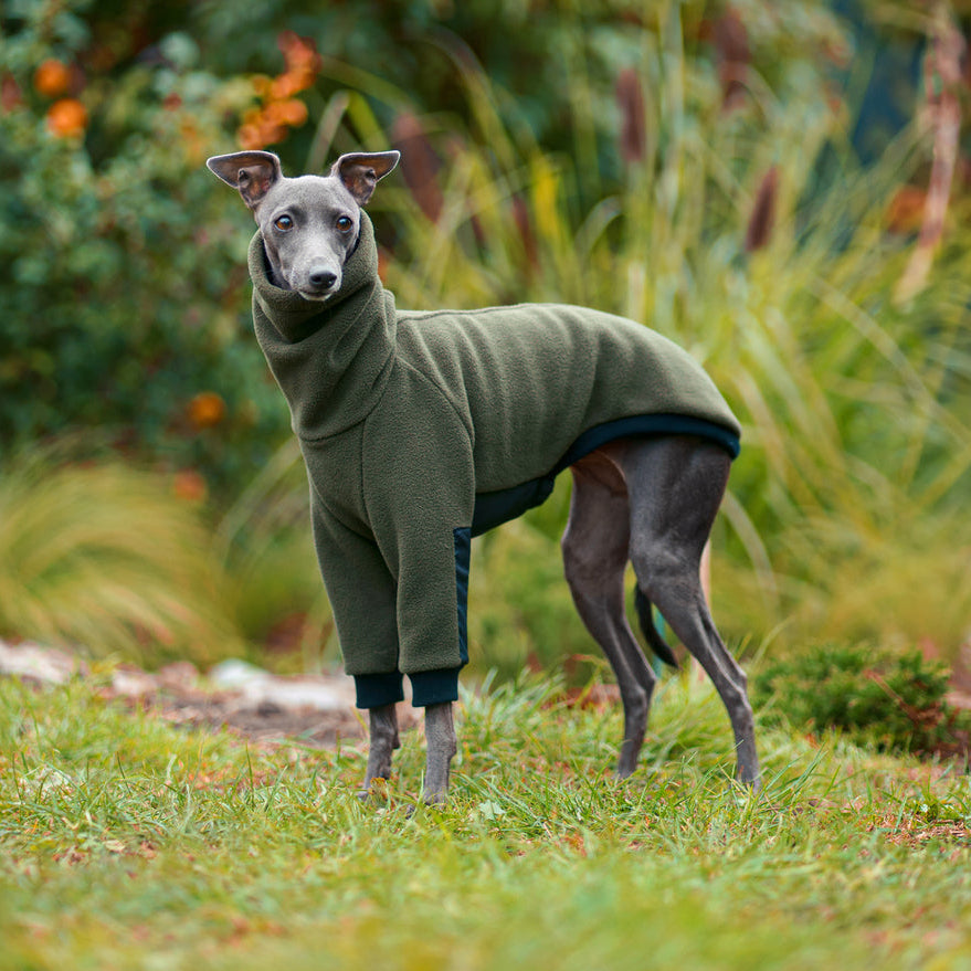 Ciepła bluza dla charcika włoskiego z grubego polaru, z wodoodpornymi wstawkami na brzuszku i rękawach, antypilingowa i hydrofobowa, z kołnierzem wyposażonym w otwór na smycz.