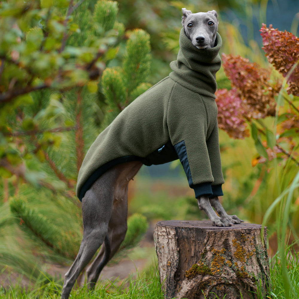 Ciepła bluza dla charcika włoskiego z grubego polaru, z wodoodpornymi wstawkami na brzuszku i rękawach, antypilingowa i hydrofobowa, z kołnierzem wyposażonym w otwór na smycz.