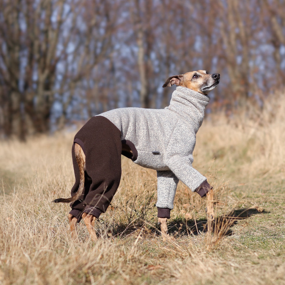 Kombinezon z dzianiny swetrowej i mikropolaru dla charcika włoskiego lub whippeta, w beżowym melanżu z ciemnymi rękawami, z wysokim kołnierzem i otworem na smycz.