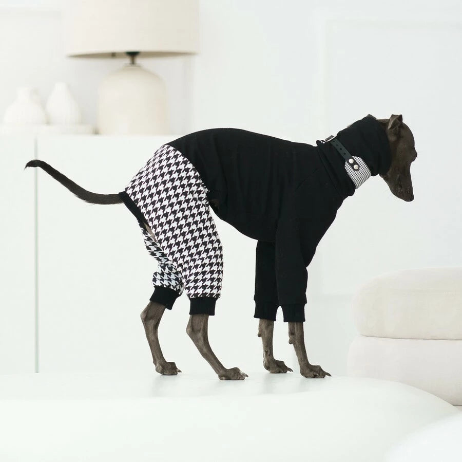 ubranko dla charcika włoskiego/ whippeta. Italian Greyhound clothes  | oblečenie pre talianskeho chrtíka | oblečení pro italského chrtíka