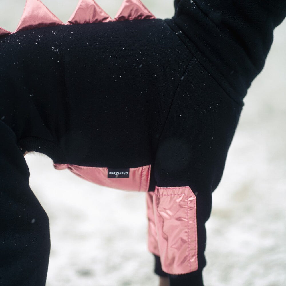 Kombinezon dla charcika włoskiego z miękkiej dresówki drapanej z wodoodpornymi wstawkami na brzuszku i przednich łapkach, idealny dla samczyków; z otworem na smycz w kołnierzu.