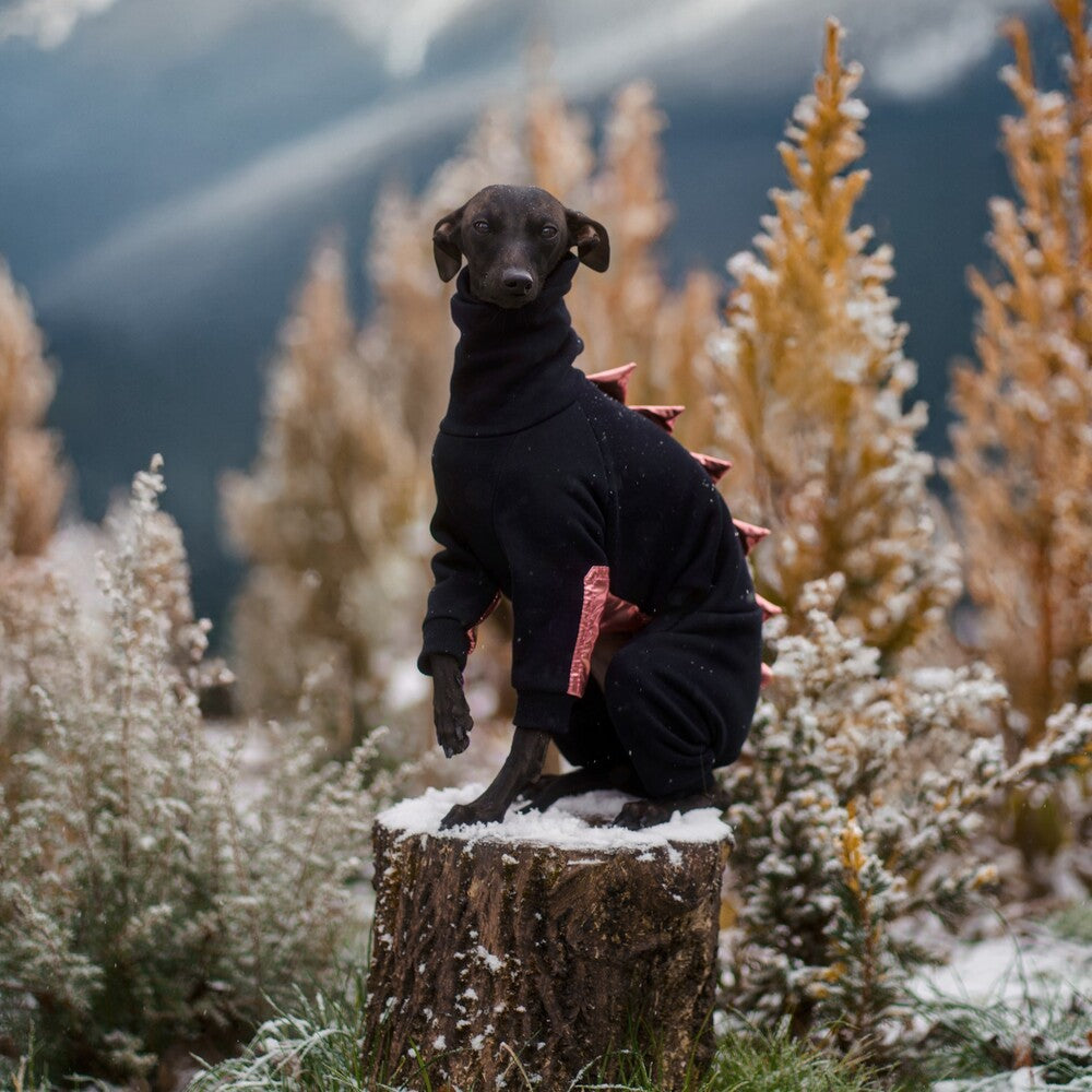 Kombinezon dla charcika włoskiego z miękkiej dresówki drapanej z wodoodpornymi wstawkami na brzuszku i przednich łapkach, idealny dla samczyków; z otworem na smycz w kołnierzu.