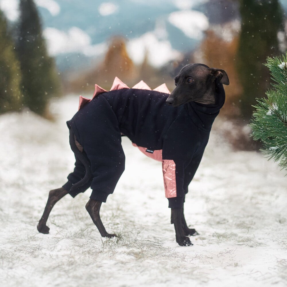 Kombinezon dla charcika włoskiego z miękkiej dresówki drapanej z wodoodpornymi wstawkami na brzuszku i przednich łapkach, idealny dla samczyków; z otworem na smycz w kołnierzu.