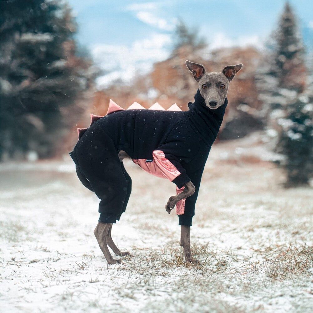 Kombinezon dla charcika włoskiego z miękkiej dresówki drapanej z wodoodpornymi wstawkami na brzuszku i przednich łapkach, idealny dla samczyków; z otworem na smycz w kołnierzu.