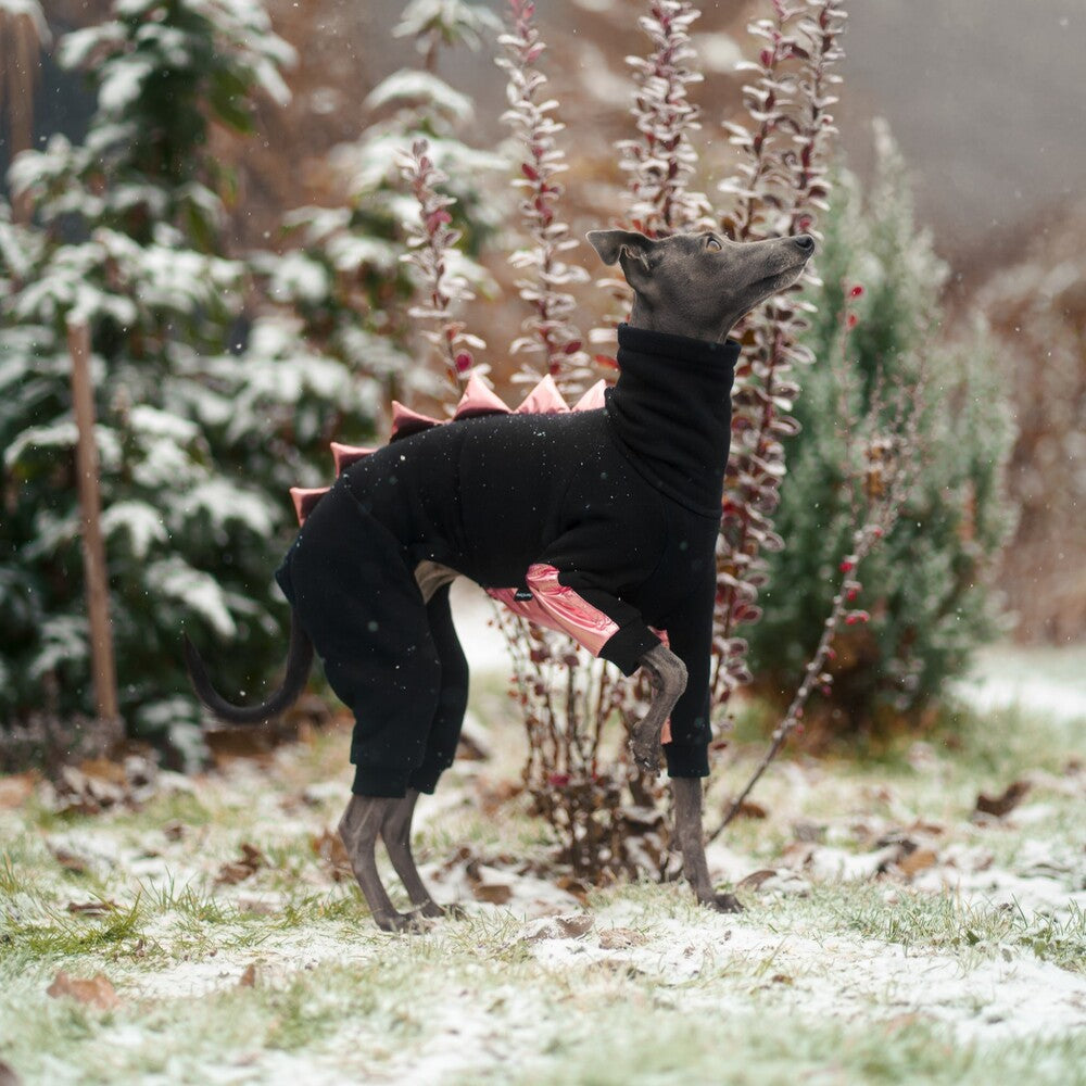 Kombinezon dla charcika włoskiego z miękkiej dresówki drapanej z wodoodpornymi wstawkami na brzuszku i przednich łapkach, idealny dla samczyków; z otworem na smycz w kołnierzu.