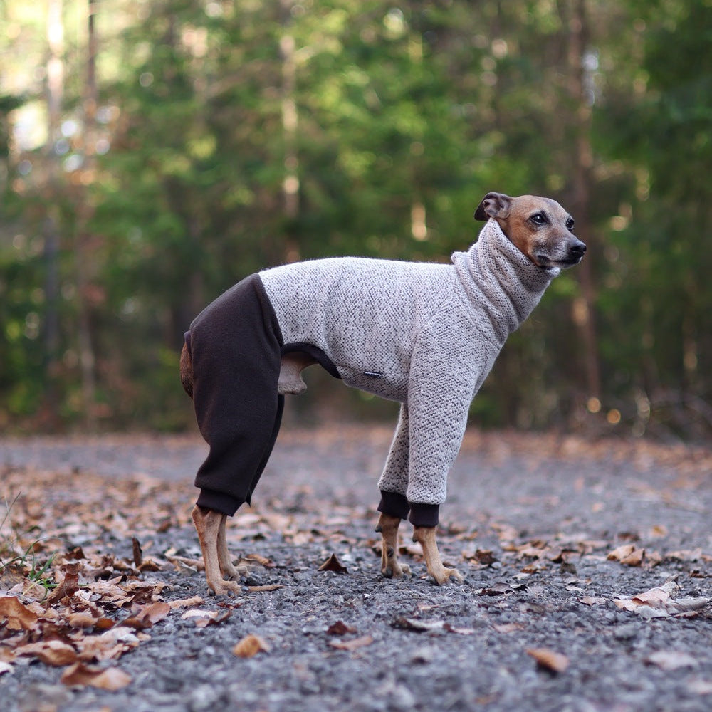 Kombinezon z dzianiny swetrowej i mikropolaru dla charcika włoskiego lub whippeta, w beżowym melanżu z ciemnymi rękawami, z wysokim kołnierzem i otworem na smycz.