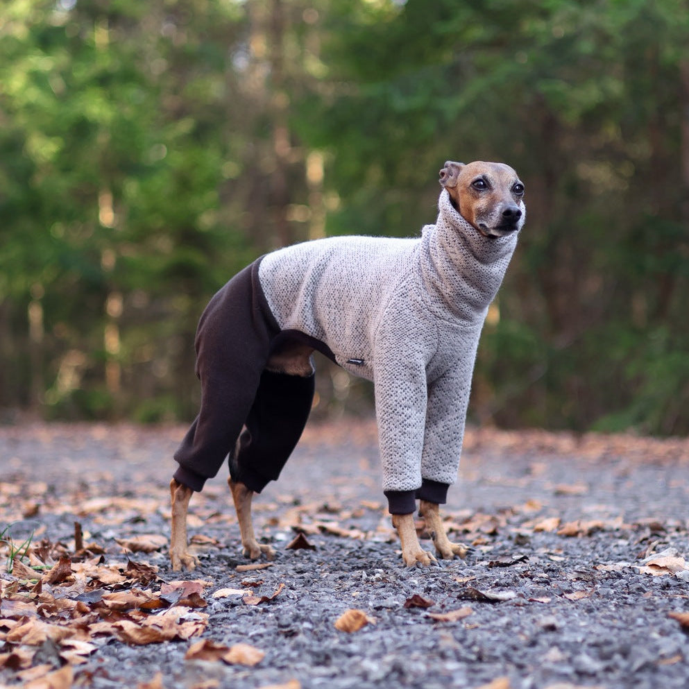 Kombinezon z dzianiny swetrowej i mikropolaru dla charcika włoskiego lub whippeta, w beżowym melanżu z ciemnymi rękawami, z wysokim kołnierzem i otworem na smycz.