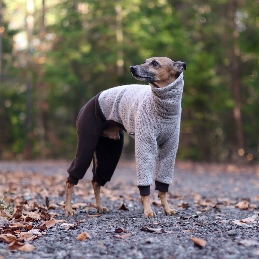 Kombinezon z dzianiny swetrowej i mikropolaru dla charcika włoskiego lub whippeta, w beżowym melanżu z ciemnymi rękawami, z wysokim kołnierzem i otworem na smycz.