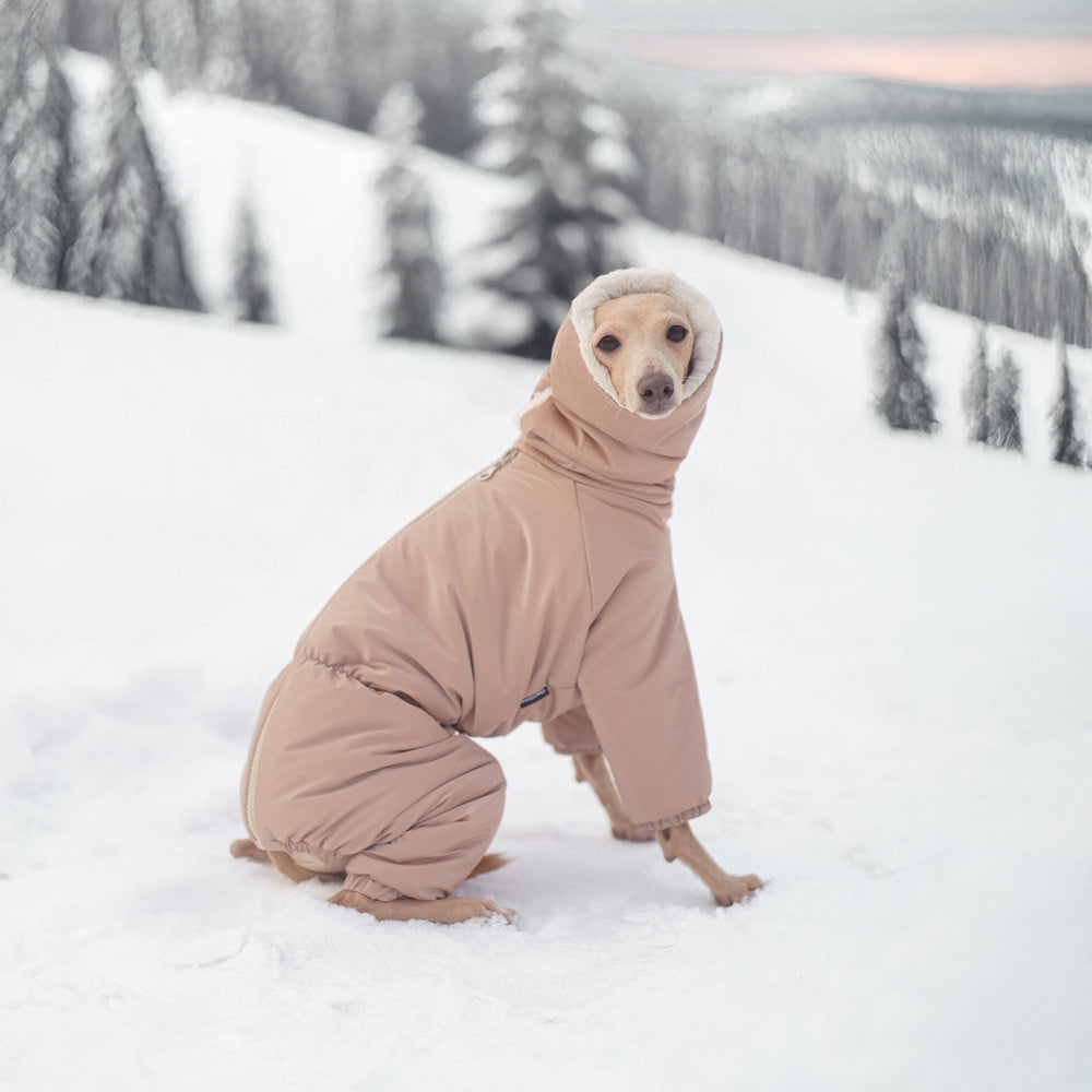 Kombinezon śniegowy dla charcika włoskiego wykonany z wodoodpornego materiału, z miękkim futerkiem w środku, długim kołnierzem i zamkiem na grzbiecie.