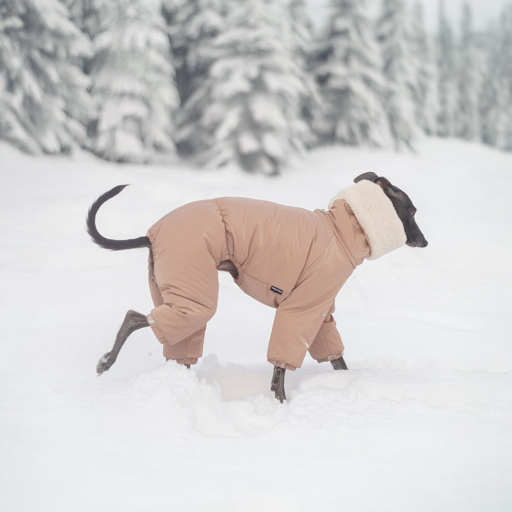 Kombinezon śniegowy dla charcika włoskiego wykonany z wodoodpornego materiału, z miękkim futerkiem w środku, długim kołnierzem i zamkiem na grzbiecie.