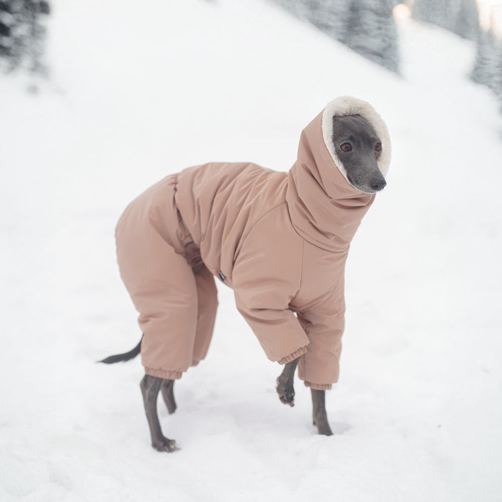 Kombinezon śniegowy dla charcika włoskiego wykonany z wodoodpornego materiału, z miękkim futerkiem w środku, długim kołnierzem i zamkiem na grzbiecie.