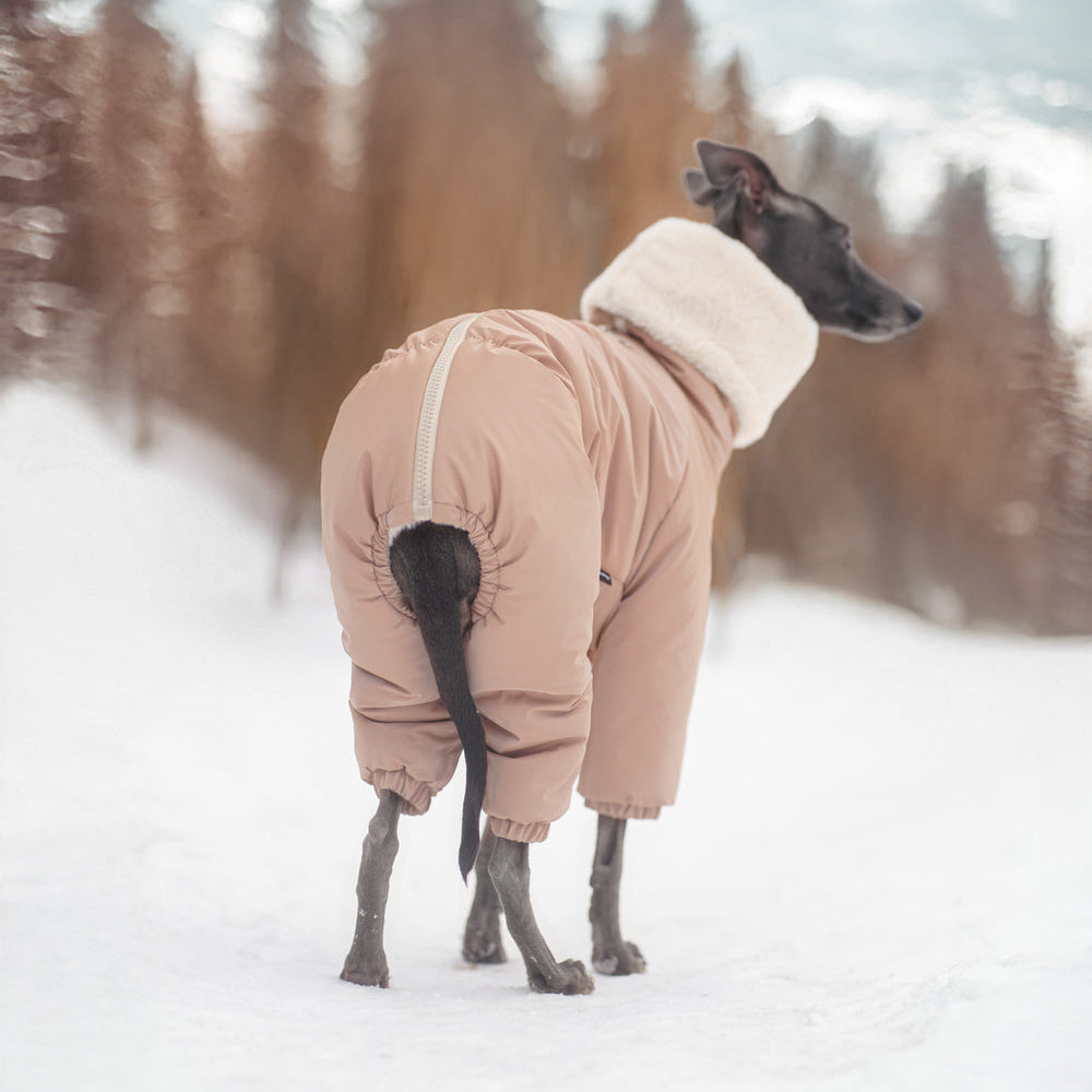 Kombinezon śniegowy dla charcika włoskiego wykonany z wodoodpornego materiału, z miękkim futerkiem w środku, długim kołnierzem i zamkiem na grzbiecie.
