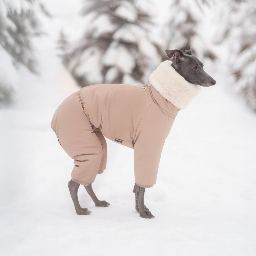 Kombinezon śniegowy dla charcika włoskiego wykonany z wodoodpornego materiału, z miękkim futerkiem w środku, długim kołnierzem i zamkiem na grzbiecie.