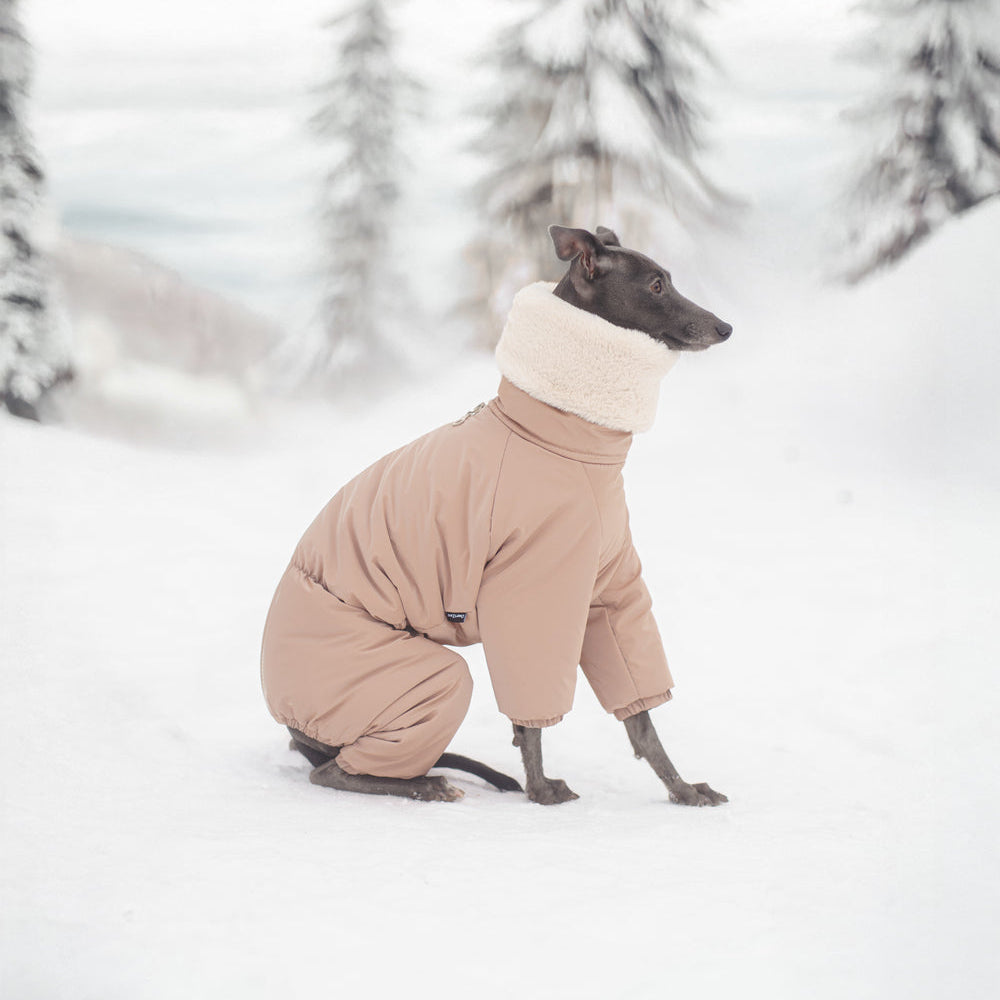 Kombinezon śniegowy dla charcika włoskiego wykonany z wodoodpornego materiału, z miękkim futerkiem w środku, długim kołnierzem i zamkiem na grzbiecie.