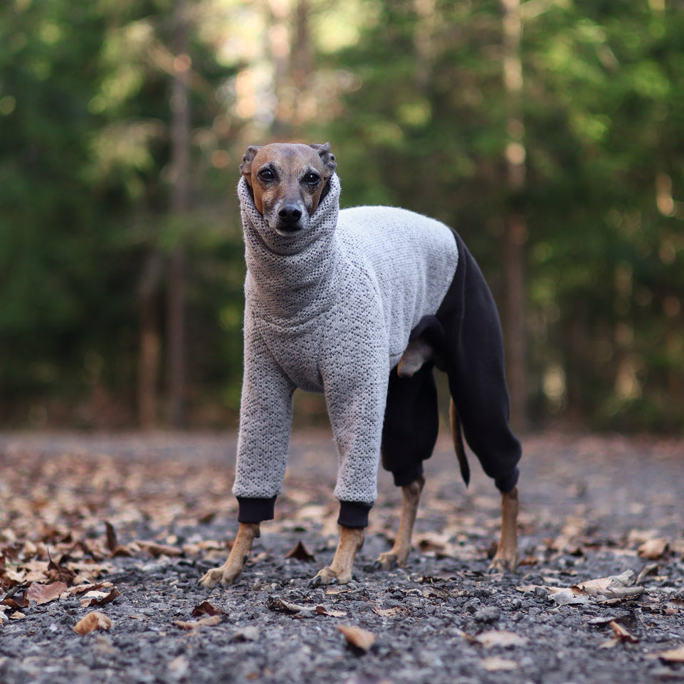 Kombinezon z dzianiny swetrowej i mikropolaru dla charcika włoskiego lub whippeta, w beżowym melanżu z ciemnymi rękawami, z wysokim kołnierzem i otworem na smycz.