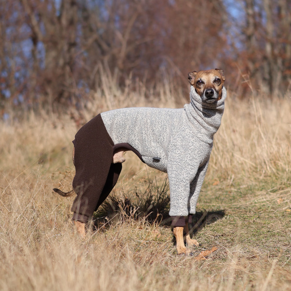 Kombinezon z dzianiny swetrowej i mikropolaru dla charcika włoskiego lub whippeta, w beżowym melanżu z ciemnymi rękawami, z wysokim kołnierzem i otworem na smycz.