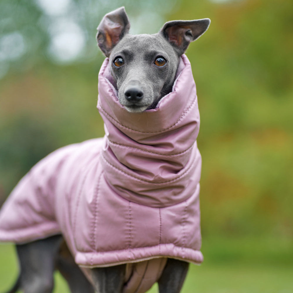 Zimowy, pikowany płaszczyk dla psa wykonany z wodoodpornego i wiatroszczelnego ortalionu, z miękką podszewką minky, wysokim kołnierzem z otworem na smycz i zapięciem na rzepy wokół klatki piersiowej.