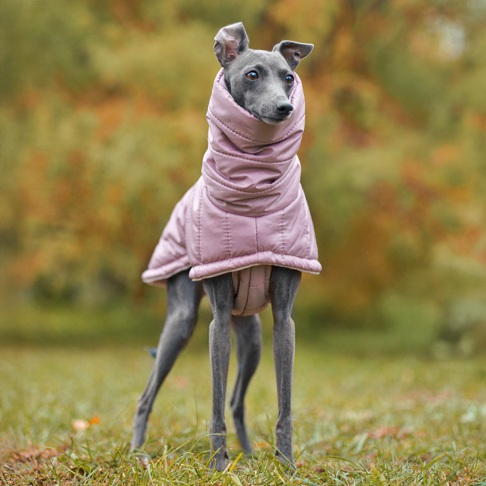 Zimowy, pikowany płaszczyk dla psa wykonany z wodoodpornego i wiatroszczelnego ortalionu, z miękką podszewką minky, wysokim kołnierzem z otworem na smycz i zapięciem na rzepy wokół klatki piersiowej.