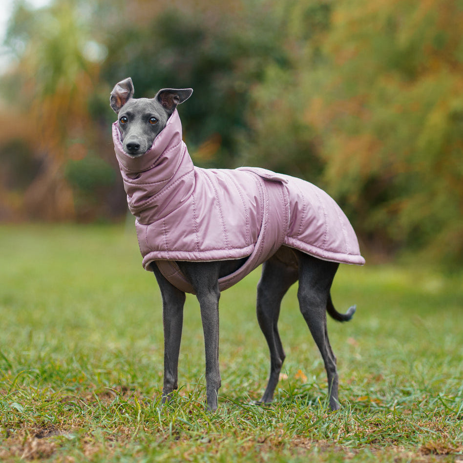 Zimowy, pikowany płaszczyk dla psa wykonany z wodoodpornego i wiatroszczelnego ortalionu, z miękką podszewką minky, wysokim kołnierzem z otworem na smycz i zapięciem na rzepy wokół klatki piersiowej.
