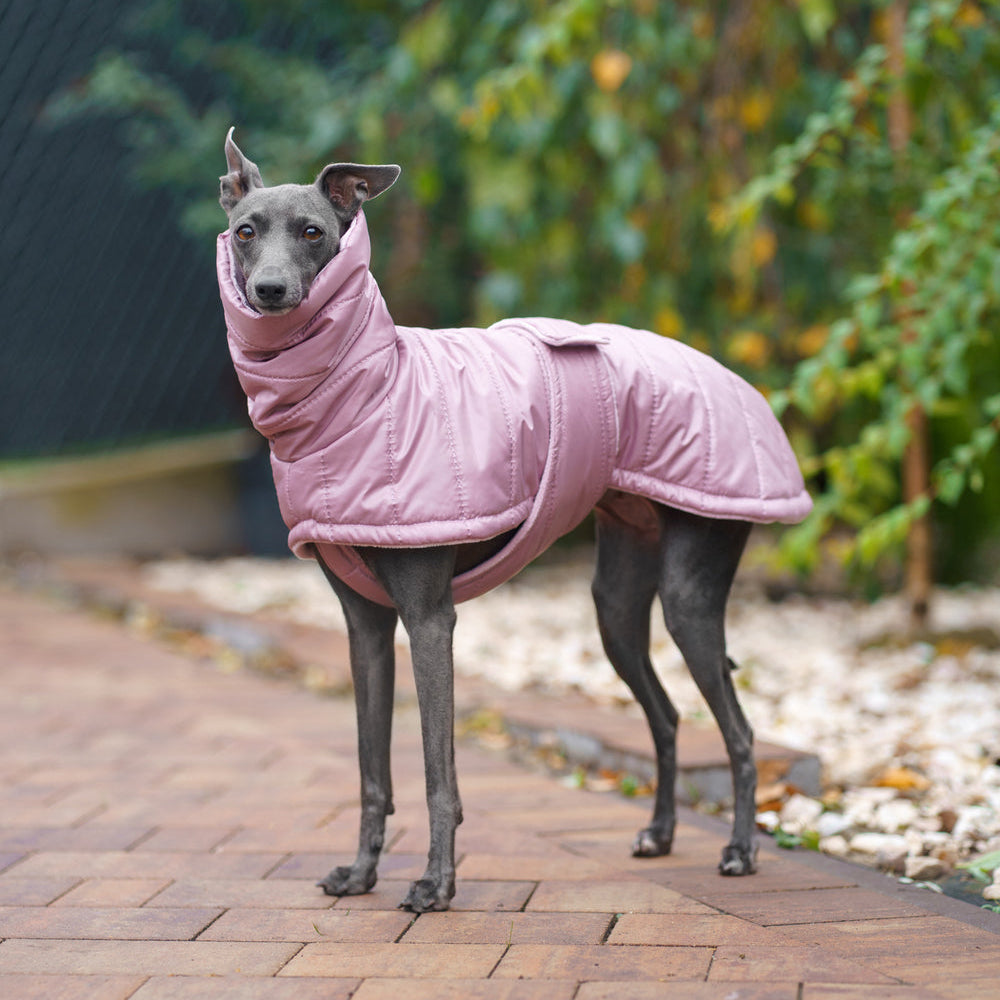 Zimowy, pikowany płaszczyk dla psa wykonany z wodoodpornego i wiatroszczelnego ortalionu, z miękką podszewką minky, wysokim kołnierzem z otworem na smycz i zapięciem na rzepy wokół klatki piersiowej.