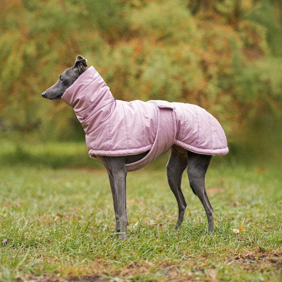 Zimowy, pikowany płaszczyk dla psa wykonany z wodoodpornego i wiatroszczelnego ortalionu, z miękką podszewką minky, wysokim kołnierzem z otworem na smycz i zapięciem na rzepy wokół klatki piersiowej.