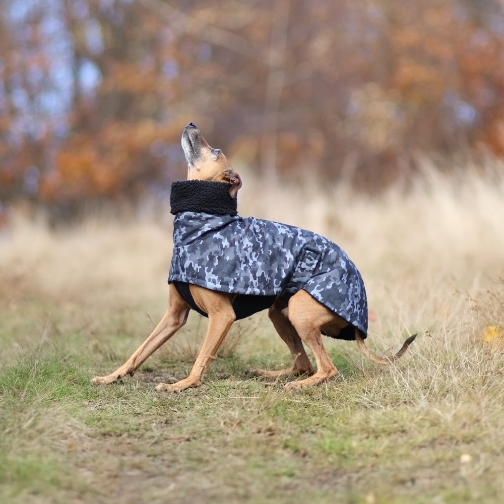 Przeciwdeszczowy płaszczyk dla charta, lekki i wodoodporny, dopasowany do smukłej sylwetki psa, zapewniający ochronę przed deszczem i wiatrem.