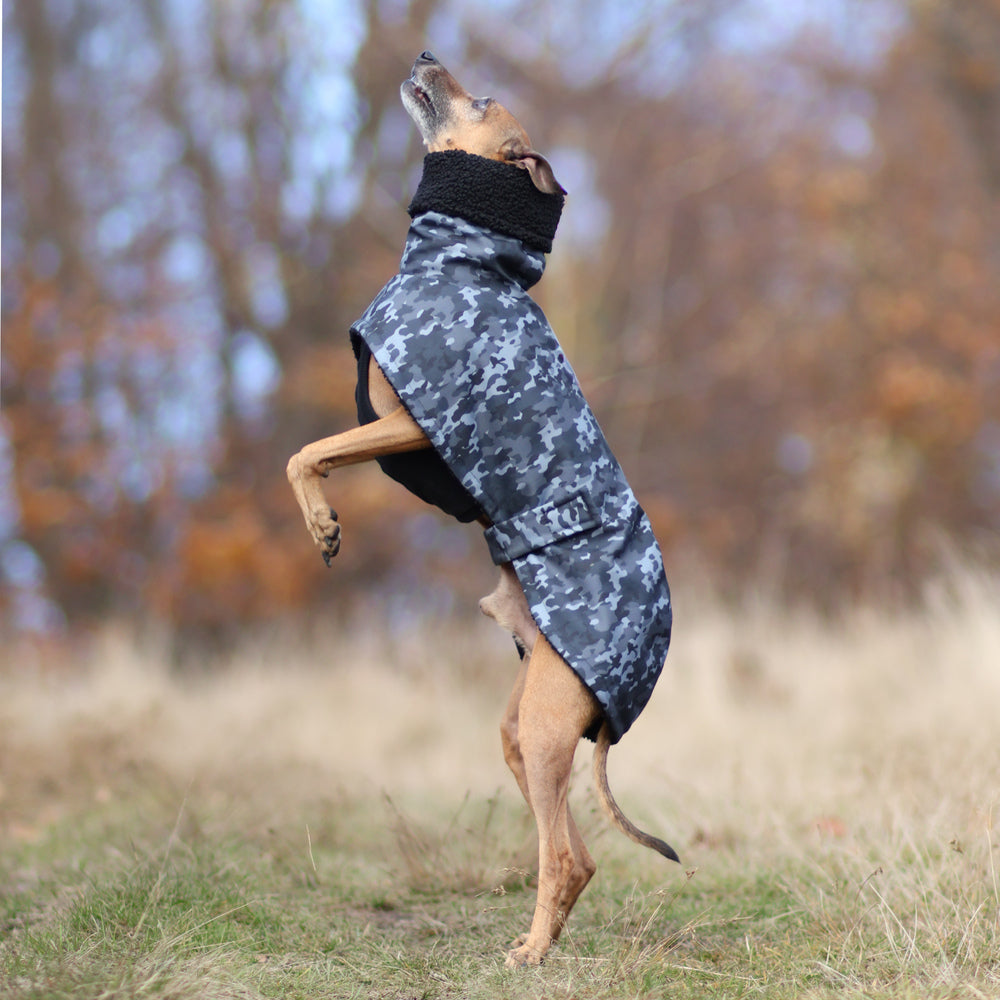 Przeciwdeszczowy płaszczyk dla charta, lekki i wodoodporny, dopasowany do smukłej sylwetki psa, zapewniający ochronę przed deszczem i wiatrem.