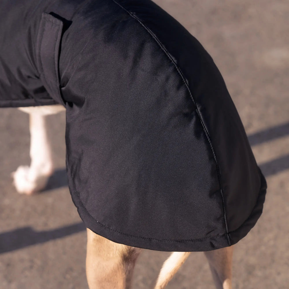 Ocieplany płaszczyk przeciwdeszczowy dla charta z wodoodpornego ortalionu i regulowanym kołnierzem.