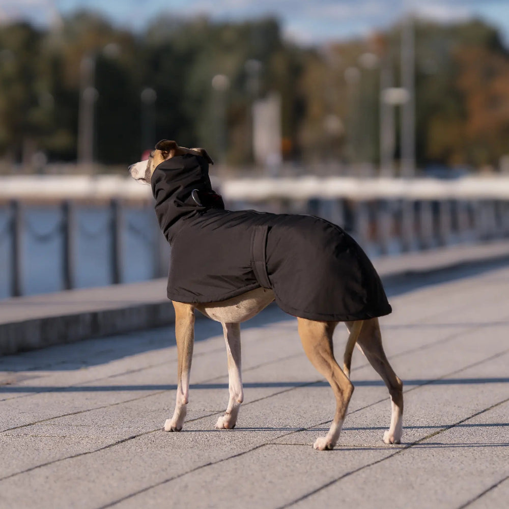 Ocieplany płaszczyk przeciwdeszczowy dla charta z wodoodpornego ortalionu i regulowanym kołnierzem.