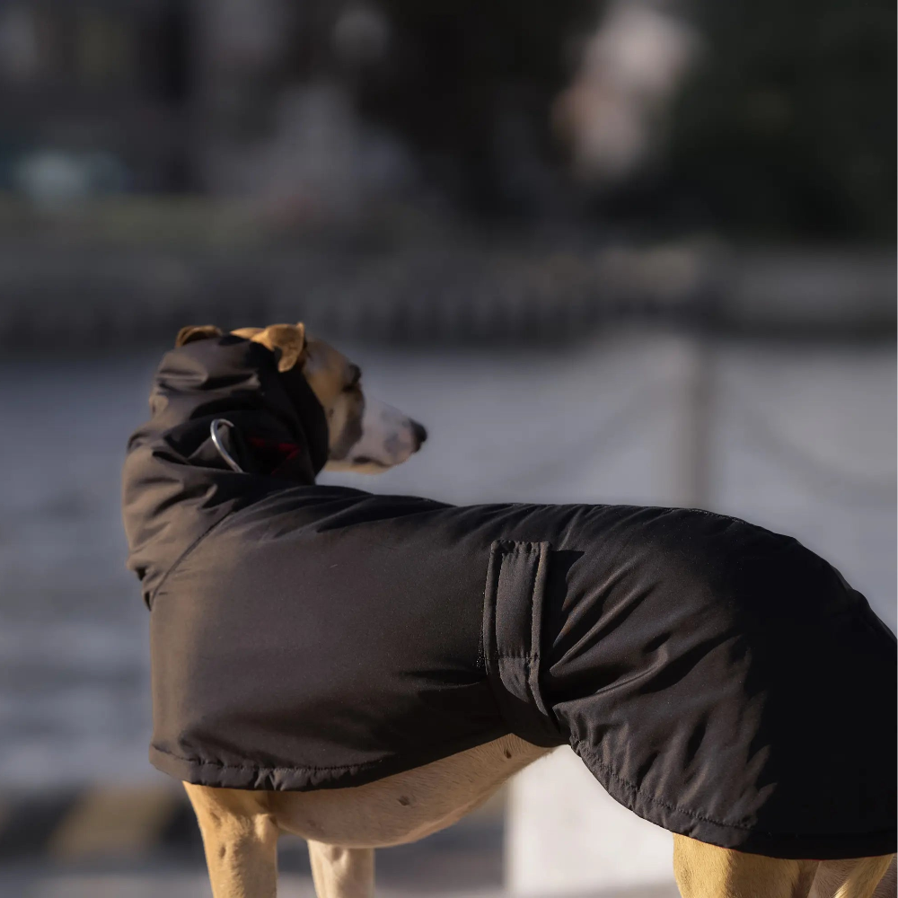 Ocieplany płaszczyk przeciwdeszczowy dla charta z wodoodpornego ortalionu i regulowanym kołnierzem.