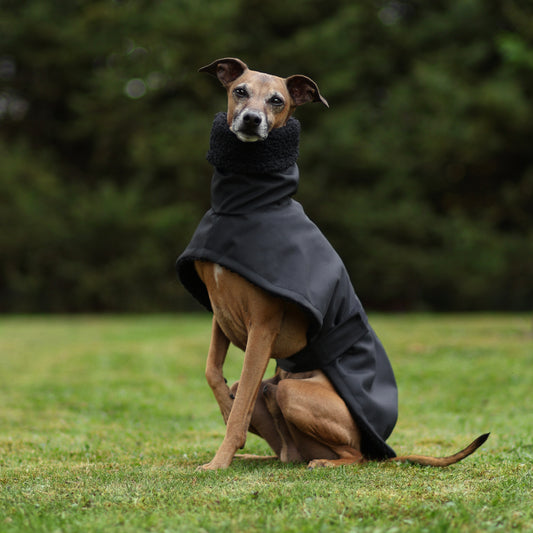 Regenmantel für Italienischen Windhund M