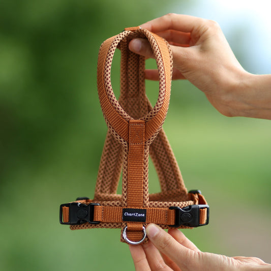 Harness for Italian Greyhound – Comfort Mesh XS