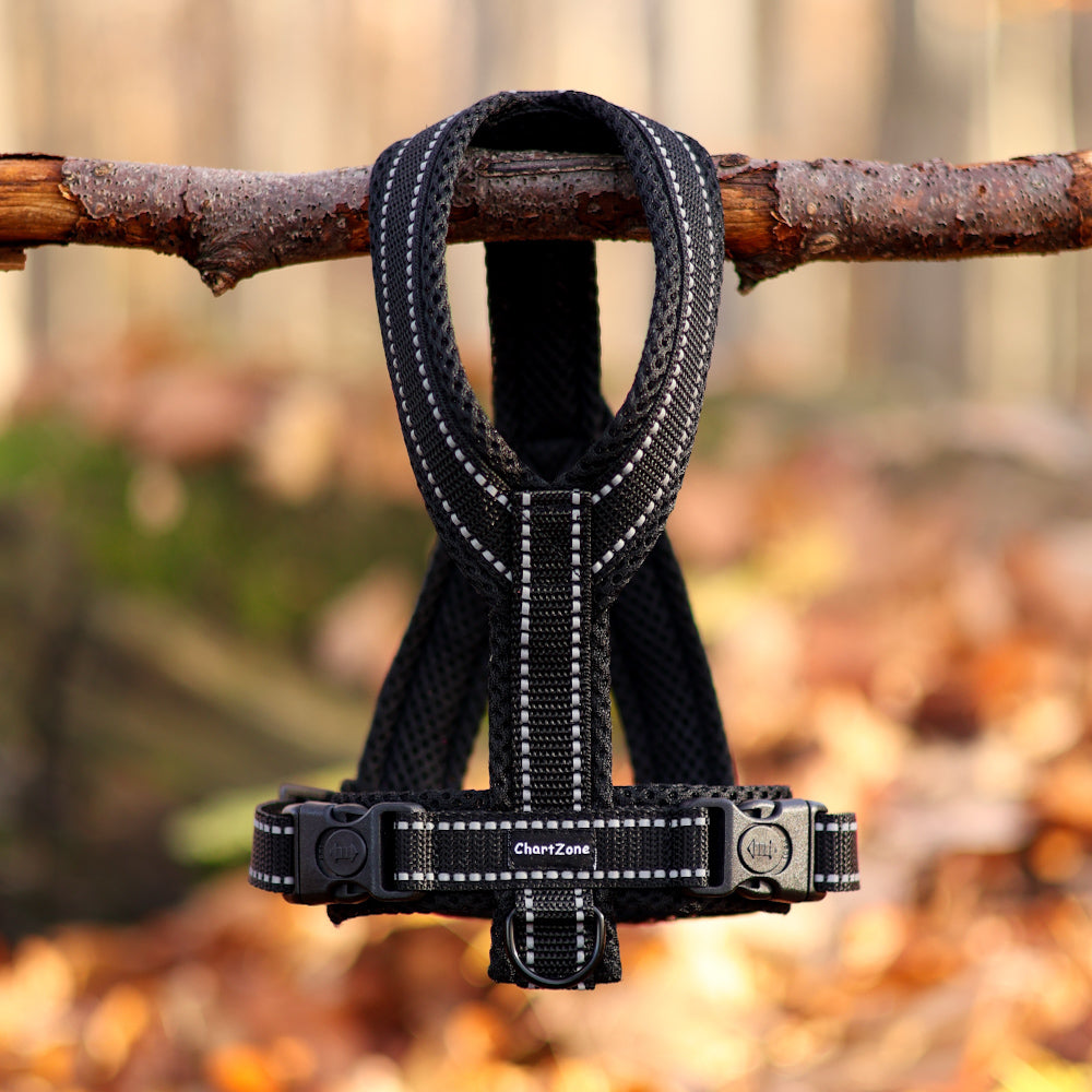 Szelki dla charta z odblaskowymi paskami, dopasowane do smukłej sylwetki psa, wykonane z lekkiego, oddychającego materiału, w kolorze czarnym z elementami odblaskowymi dla lepszej widoczności po zmroku.