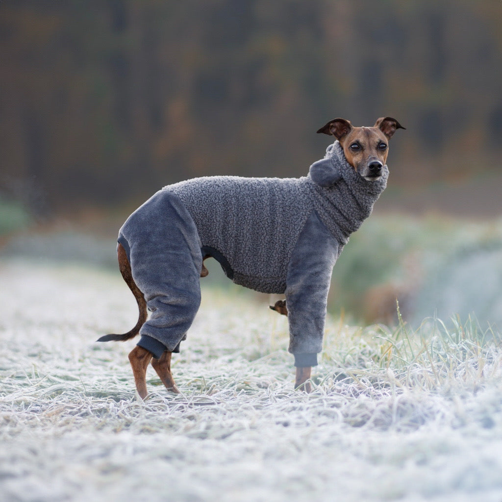 ubranko dla charcika wloskiego / italian greyhound clothing