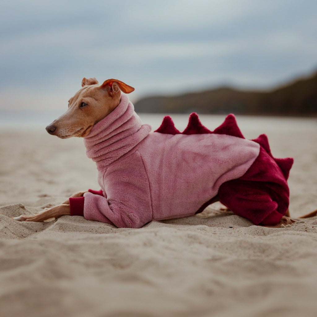 ubranko dla charcika włoskiego / italian greyhound clothes