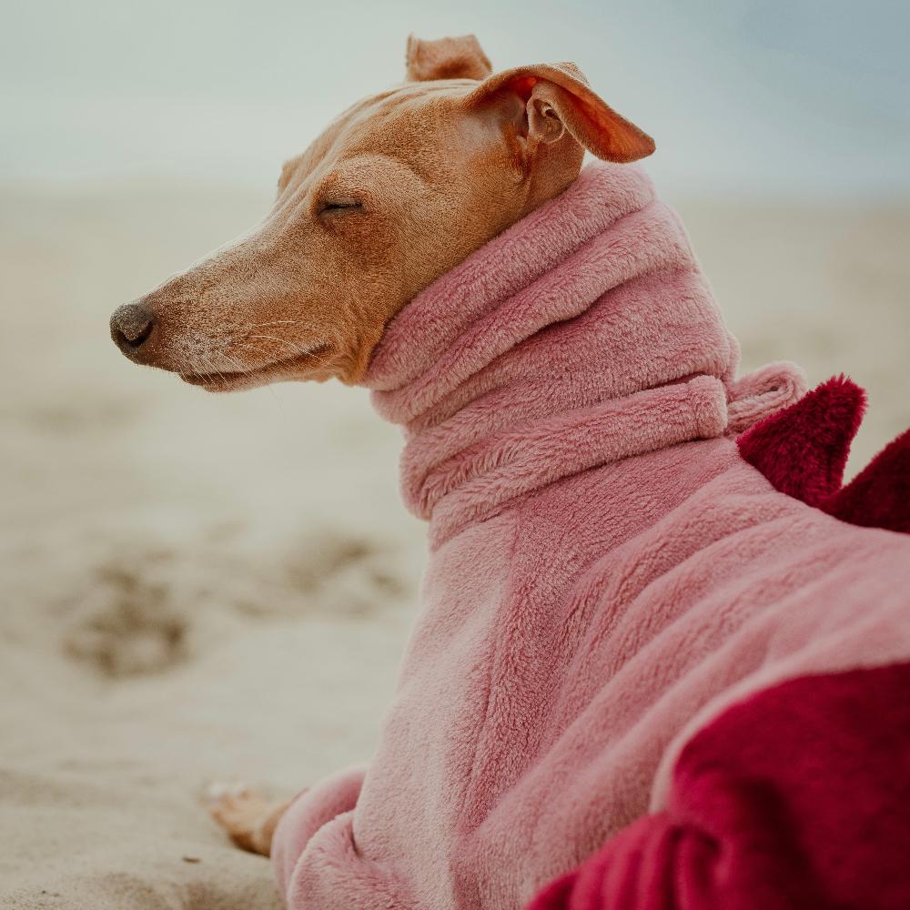 ubranko dla charcika włoskiego / italian greyhound clothes