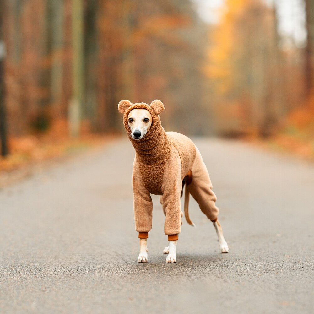 Ubranko dla whipetów uszyty z ciepłego dwuwarstwowego baranka. Whippet clothes.