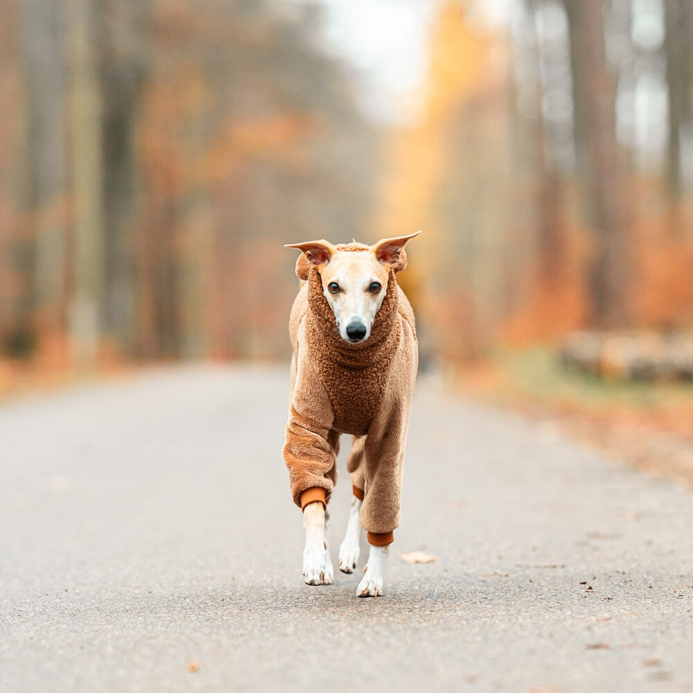 Ubranko dla whipetów uszyty z ciepłego dwuwarstwowego baranka. Whippet clothes.