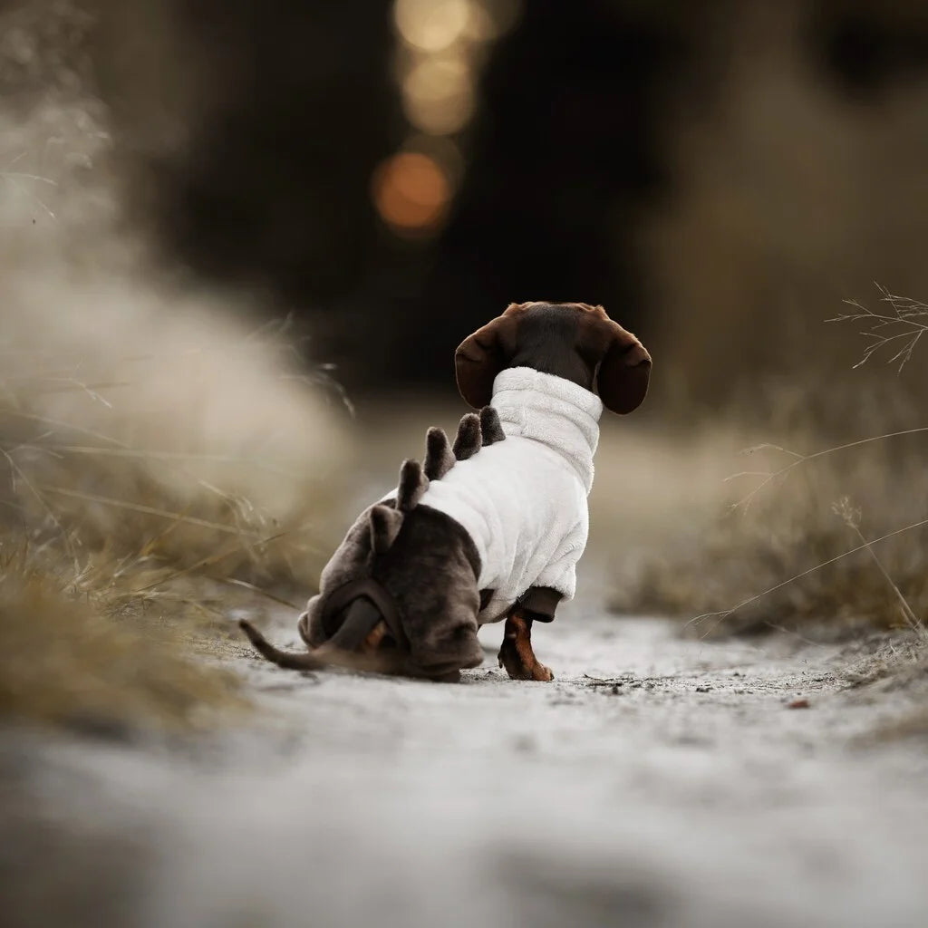 Ubranko dla jamnika z dwustronnego materiału minky, ciepłe i miękkie ubranko dla psa z otworem na smycz w kołnierzu.