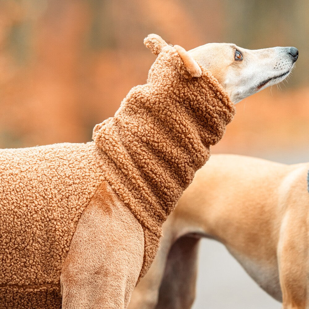 Ubranko dla whipetów uszyty z ciepłego dwuwarstwowego baranka. Whippet clothes.