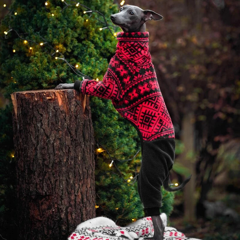 Ubranko dla charcika włoskiego | whippeta - kombinezon świąteczny | Italian Greyhounds  cloyhes  | oblečenie pre talianskeho chrtíka | oblečení pro italského chrtíka