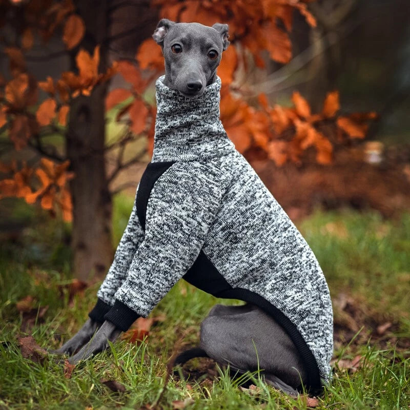 Ubranko dla charcika włoskiego | whippeta - bluza melange | Italian Greyhounds clothes  | oblečenie pre talianskeho chrtíka | oblečení pro italského chrtíka