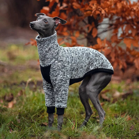 Ubranko dla charcika włoskiego | whippeta - bluza melange | Italian Greyhounds clothes  | oblečenie pre talianskeho chrtíka | oblečení pro italského chrtíka