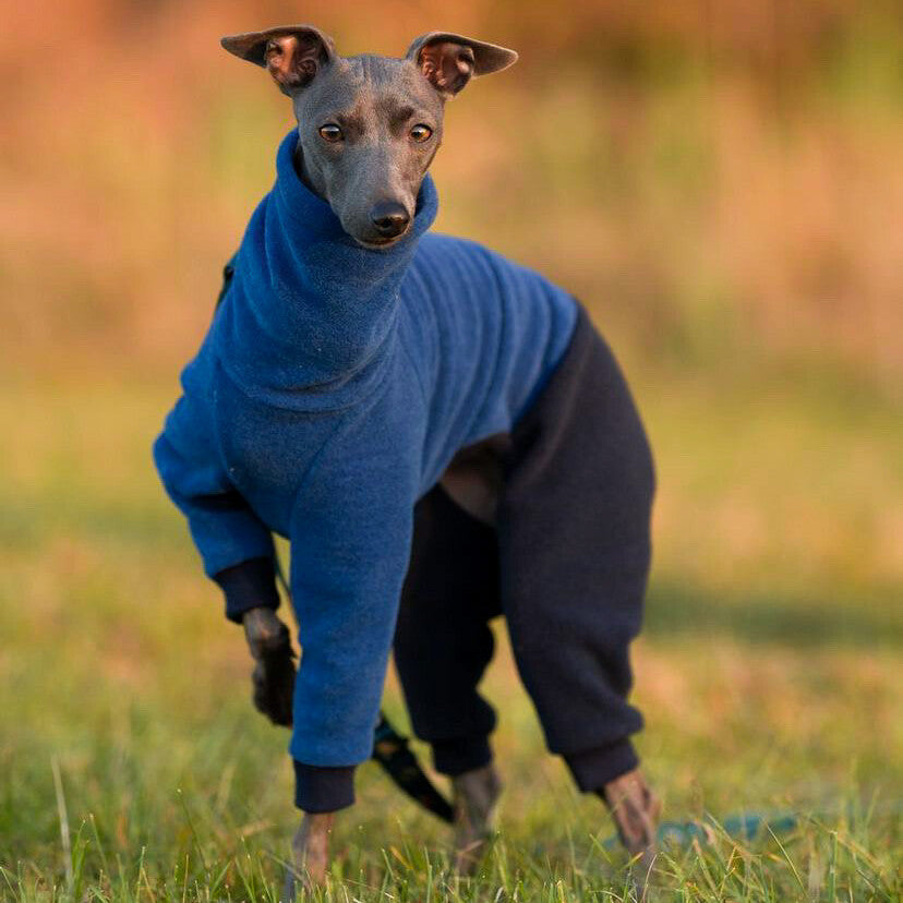 Greyhound 2024 fleece jumper